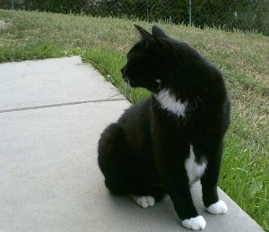 Even a bad time in the past, when you look back it seems not so bad.