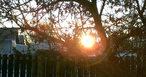 My beautiful picture