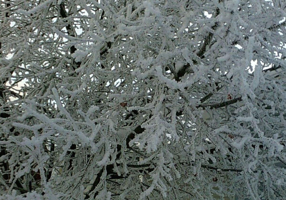 My beautiful picture