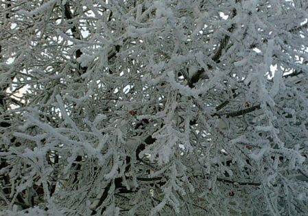 My beautiful picture