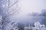 winter_fog_200960