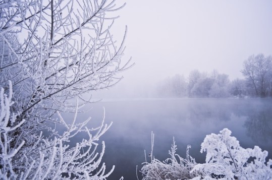 winter_fog_200960