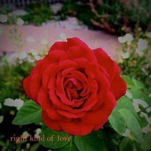 20708473_1143176289160163_463923677198192770_n