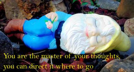 21151236_1154642354680223_8693990141462461911_n