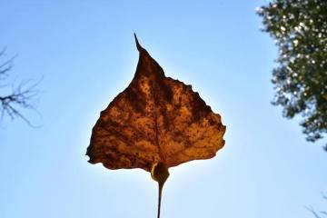 21231087_1158022587675533_7698026098009161454_n