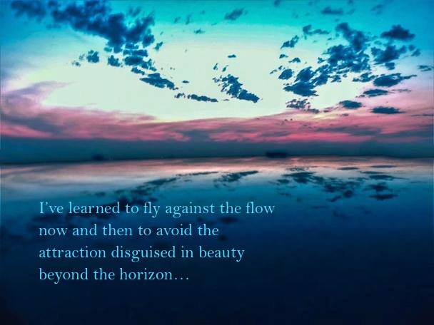 21270786_1156442534500205_4649543184026690040_n