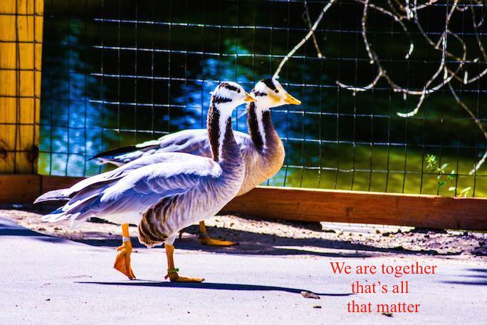 21753405_1170713303073128_1520552104648220612_o