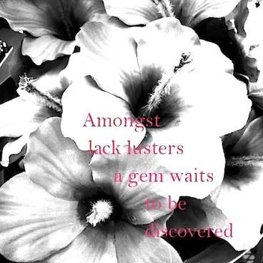 20245807_1130970057047453_39075053929578361_n