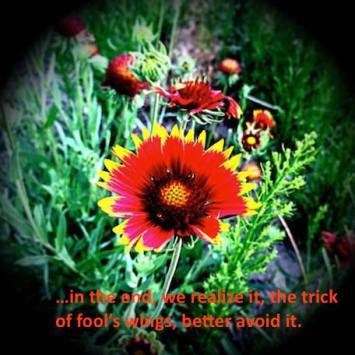 20294151_1134168743394251_971088784360163841_n copy