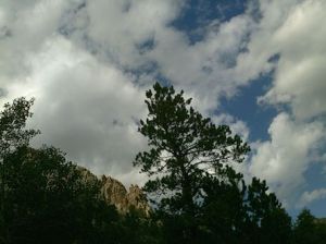 My beautiful picture