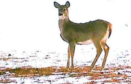 15698343_983440801800380_7997954898808171883_n copy 2