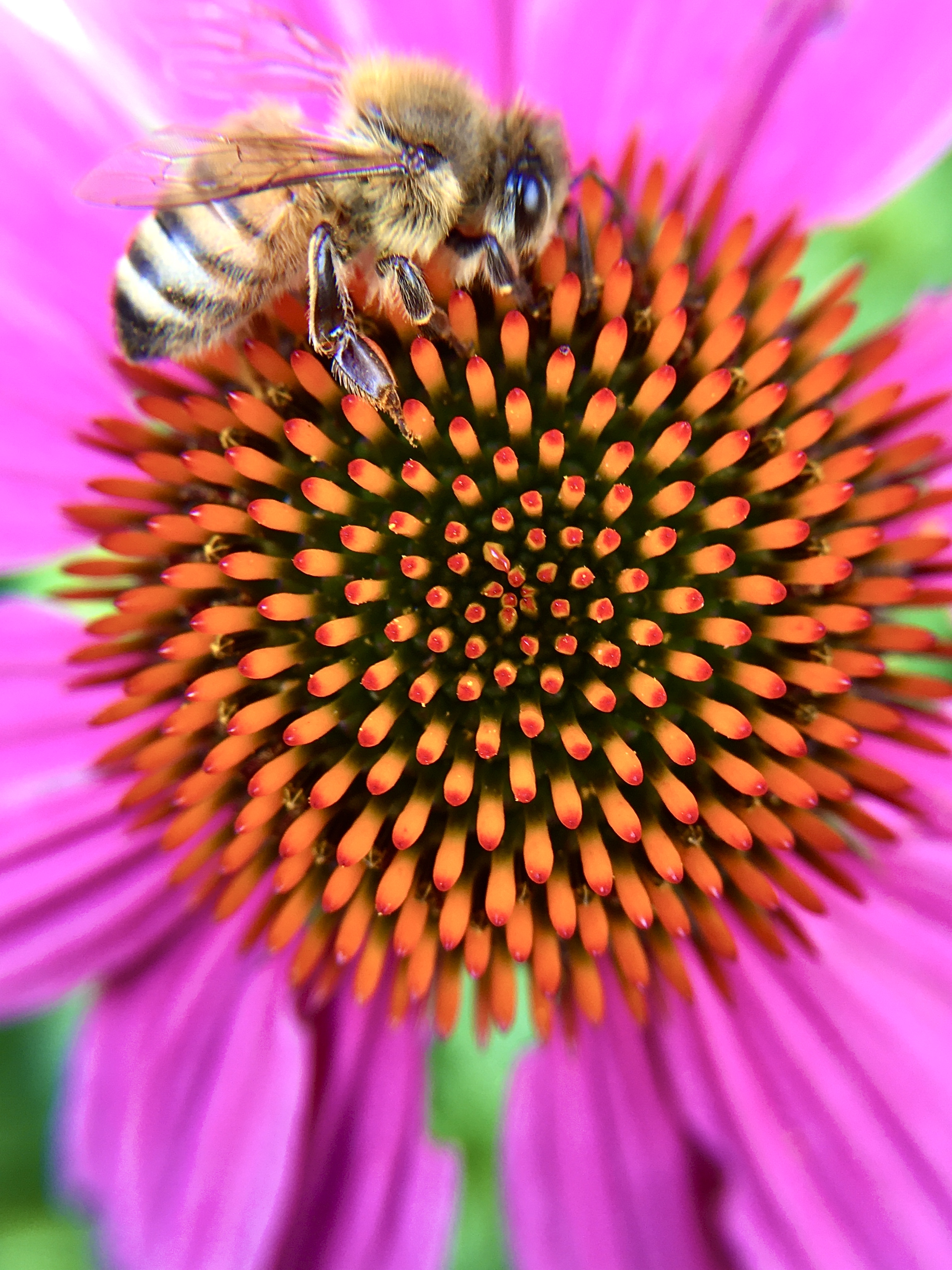 Gregory Tullock-hidethejade@gmail.com, IMG_8373